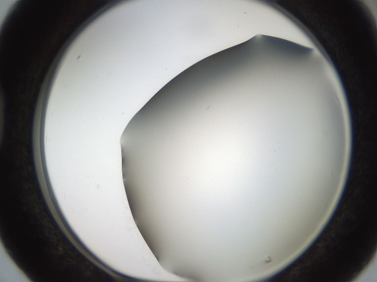 folderID307_plateID2307_batchID10874_wellNum40_profileID1_d1_r162814_ef.jpg