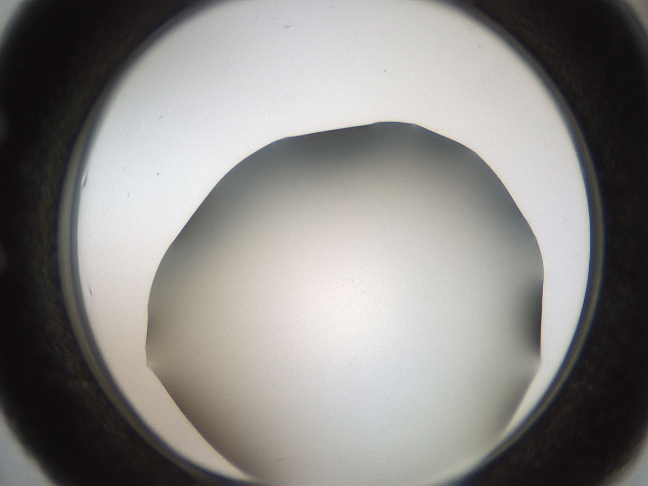 folderID307_plateID2307_batchID10874_wellNum53_profileID1_d1_r162827_ef.jpg