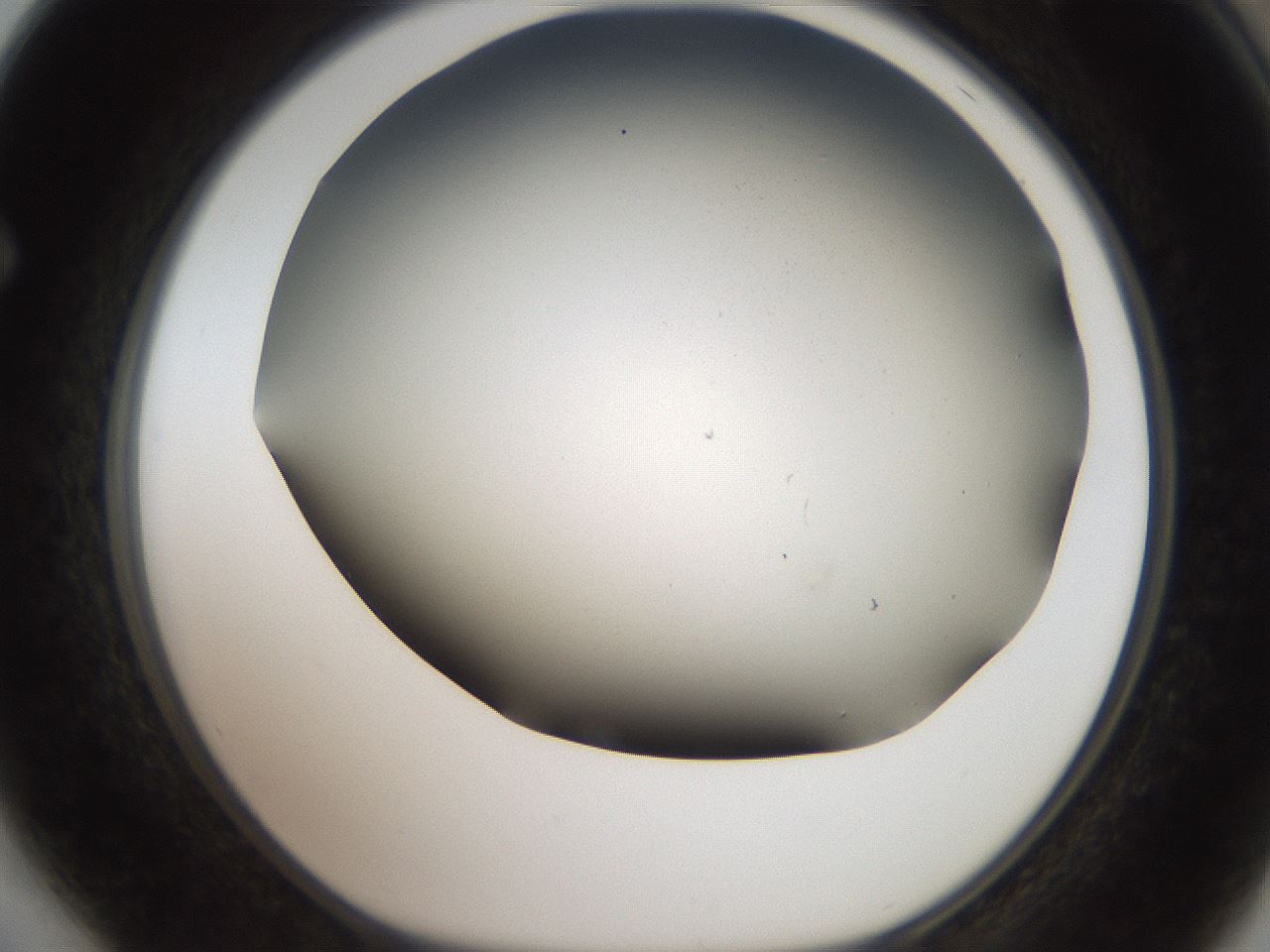 folderID307_plateID2307_batchID10874_wellNum64_profileID1_d1_r162838_ef.jpg