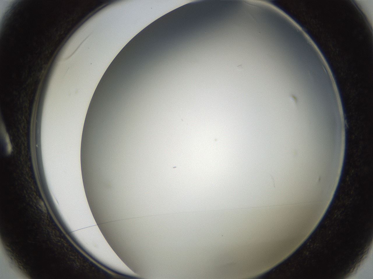 folderID307_plateID2307_batchID10874_wellNum1_profileID1_d1_r162775_ef.jpg