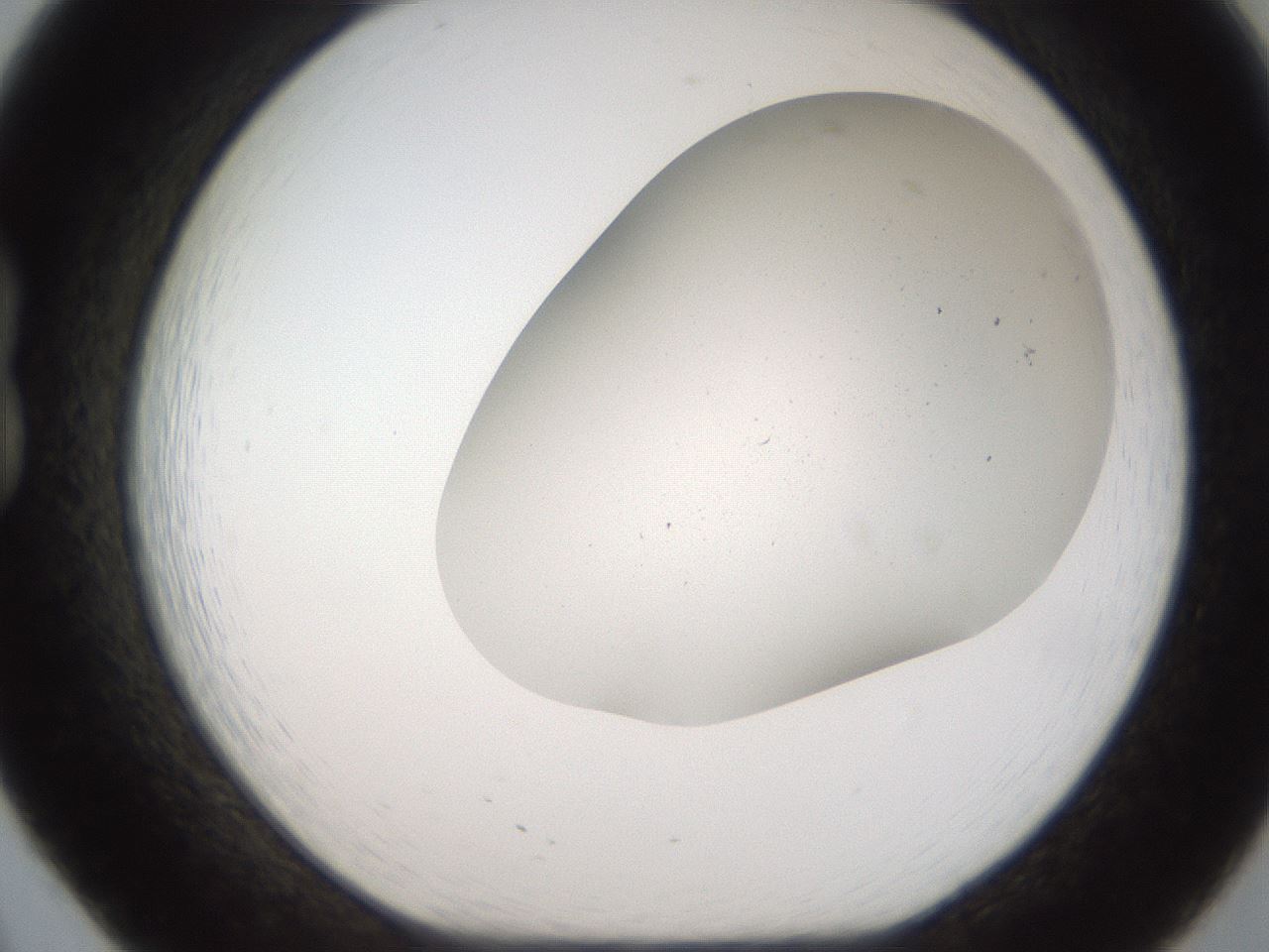 folderID307_plateID2307_batchID10874_wellNum20_profileID1_d1_r162794_ef.jpg