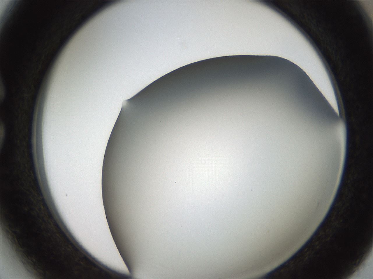 folderID307_plateID2307_batchID10874_wellNum27_profileID1_d1_r162801_ef.jpg