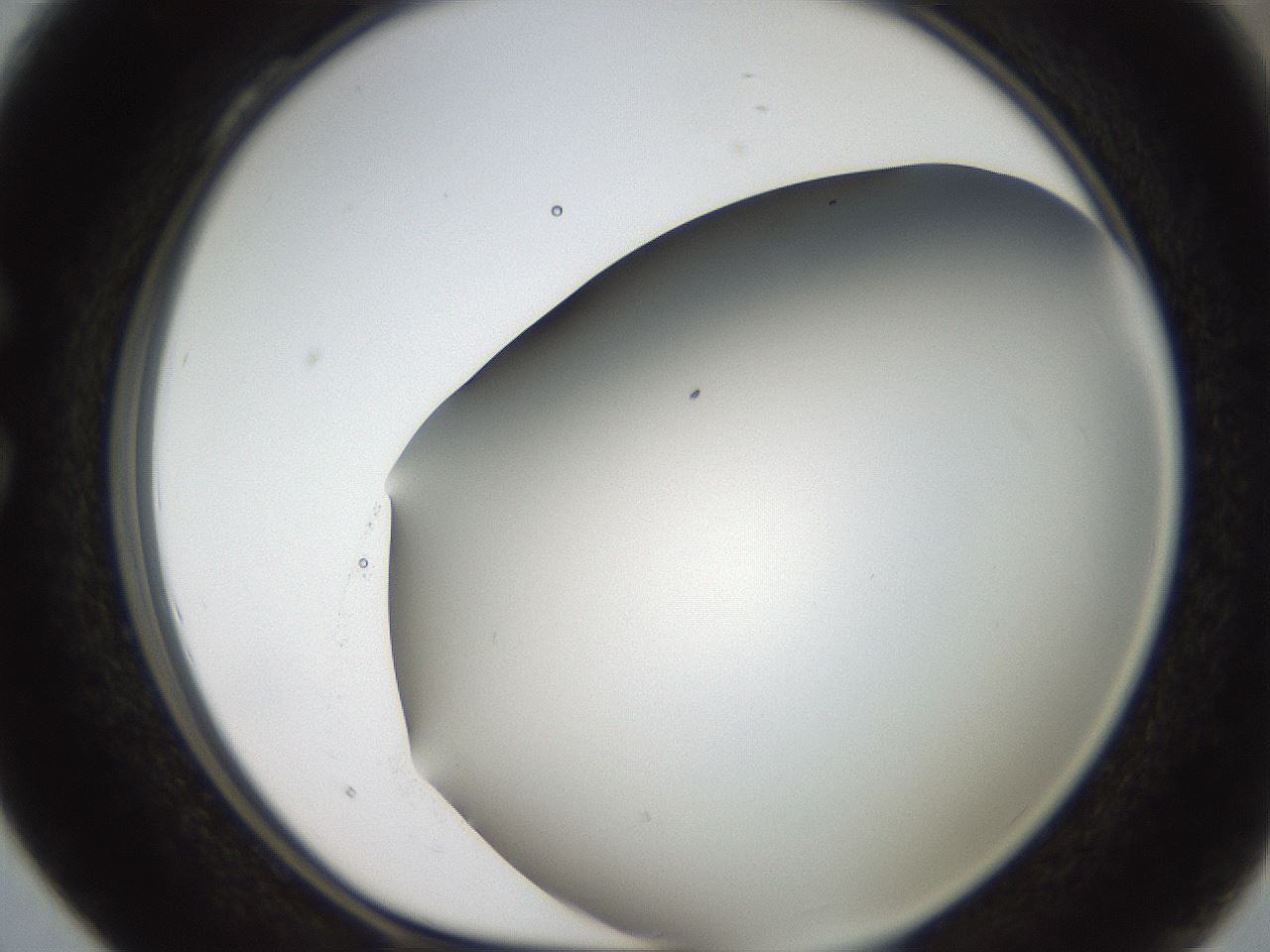 folderID307_plateID2307_batchID10874_wellNum28_profileID1_d1_r162802_ef.jpg