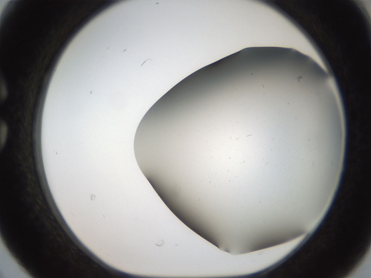 folderID307_plateID2307_batchID10874_wellNum30_profileID1_d1_r162804_ef.jpg