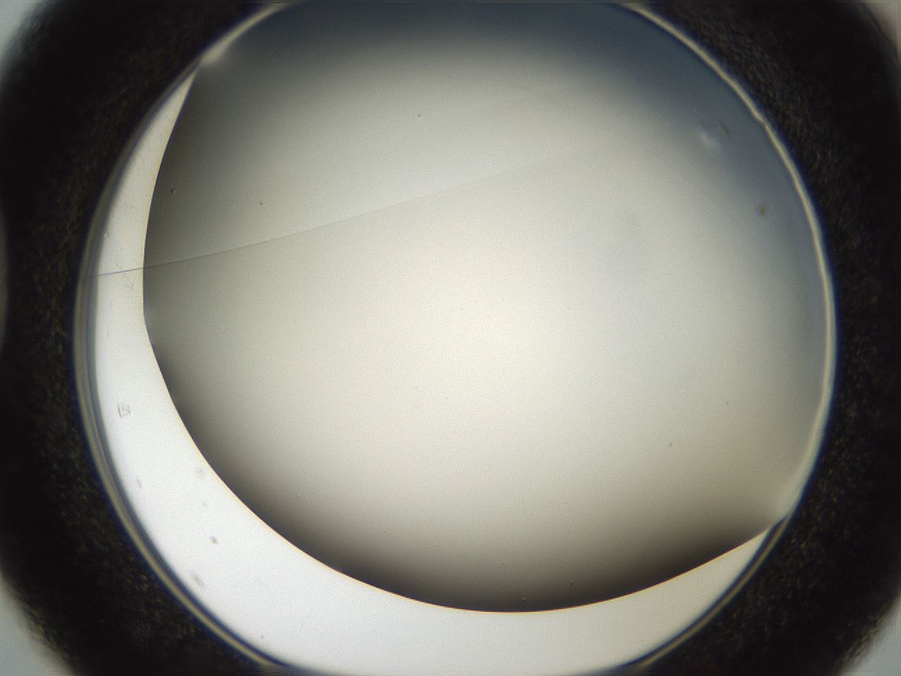 folderID307_plateID2307_batchID10874_wellNum37_profileID1_d1_r162811_ef.jpg