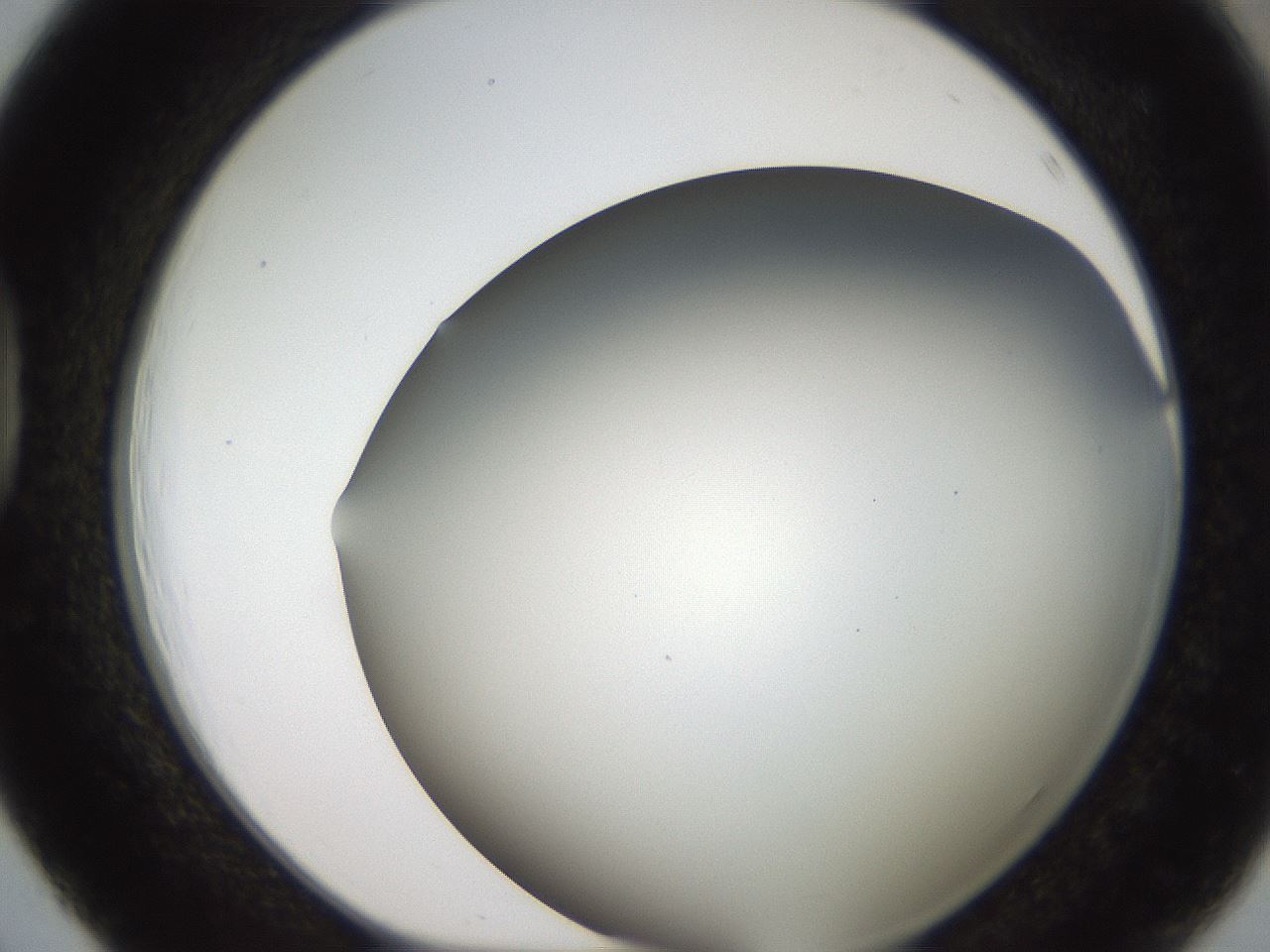 folderID307_plateID2307_batchID10874_wellNum39_profileID1_d1_r162813_ef.jpg