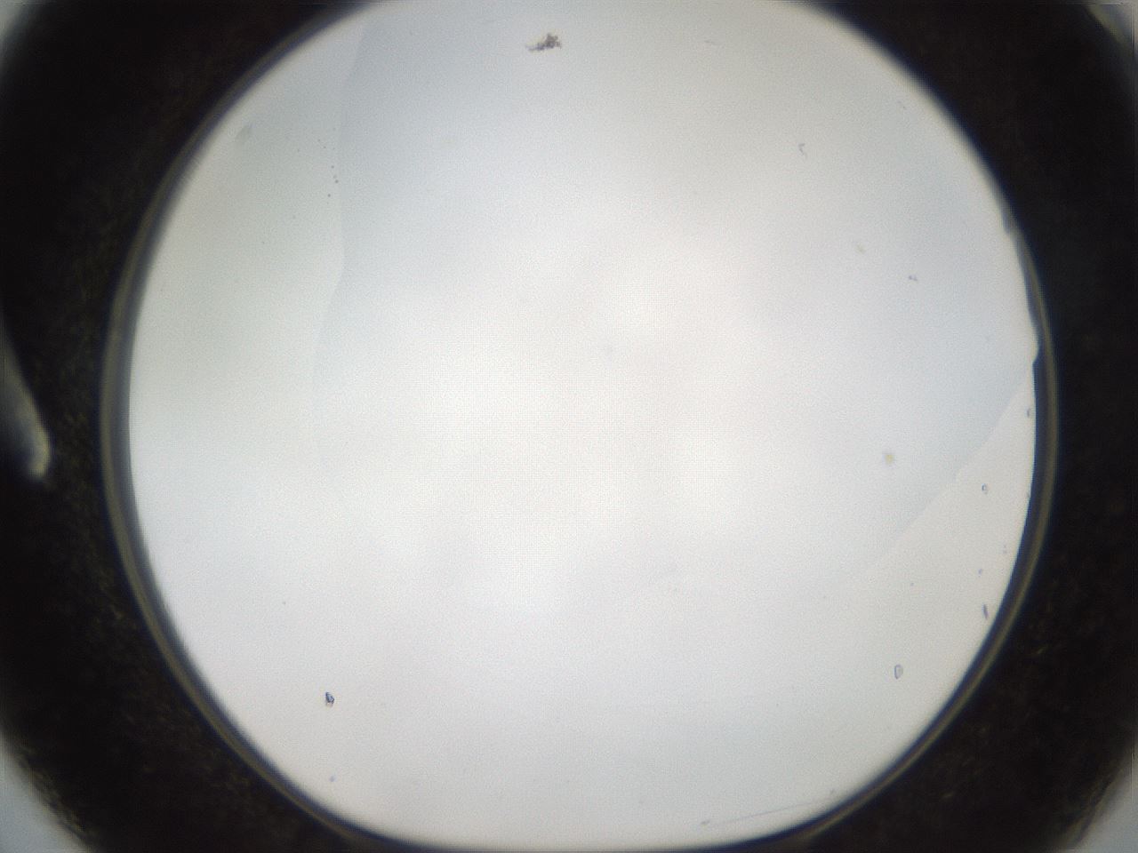 folderID307_plateID2307_batchID10874_wellNum3_profileID1_d1_r162777_ef.jpg