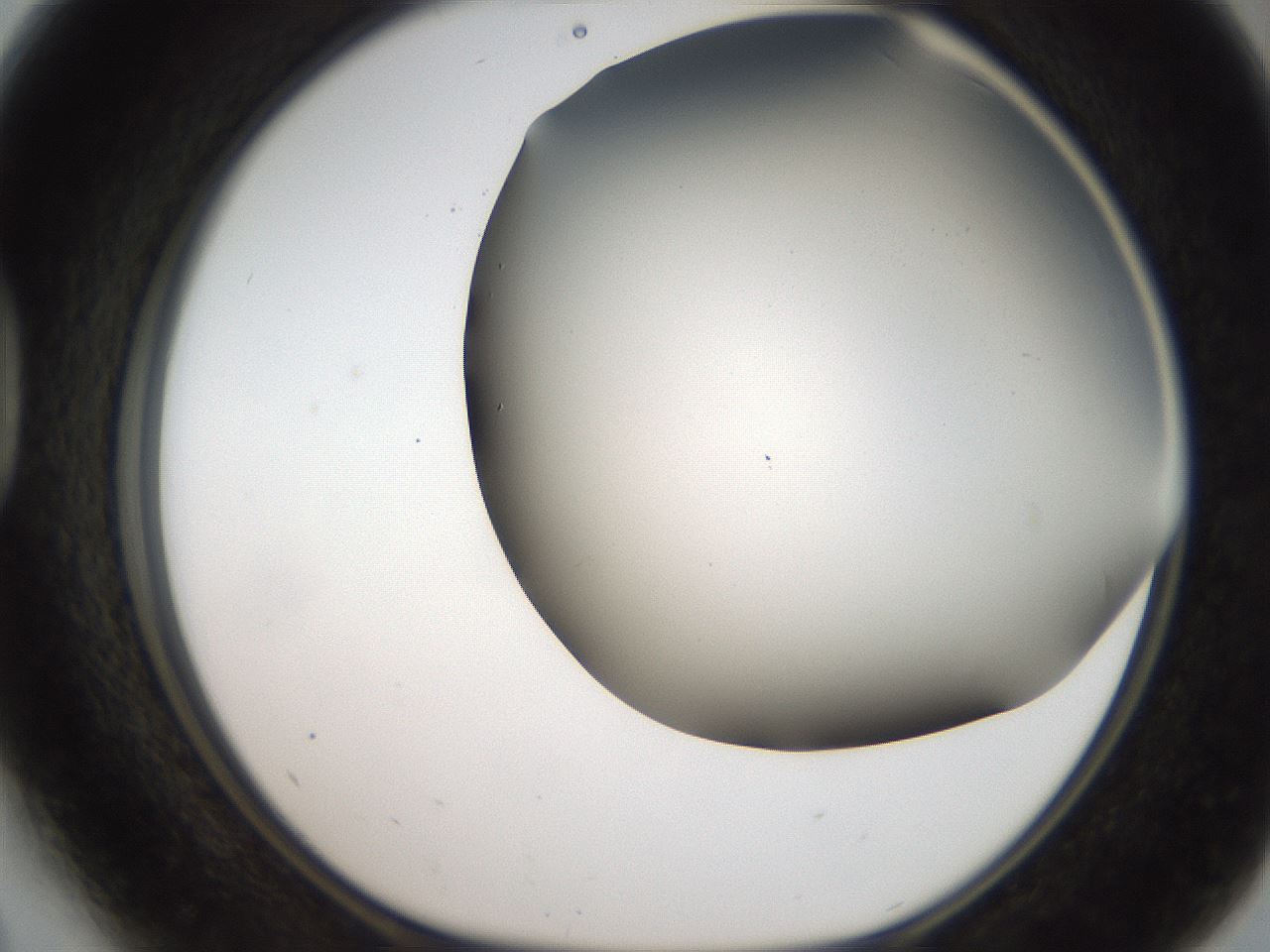 folderID307_plateID2307_batchID10874_wellNum41_profileID1_d1_r162815_ef.jpg
