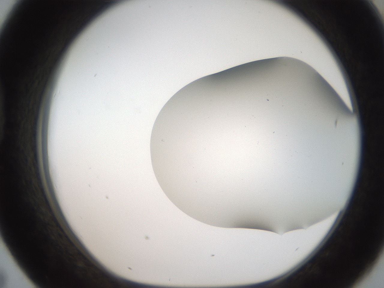 folderID307_plateID2307_batchID10874_wellNum43_profileID1_d1_r162817_ef.jpg