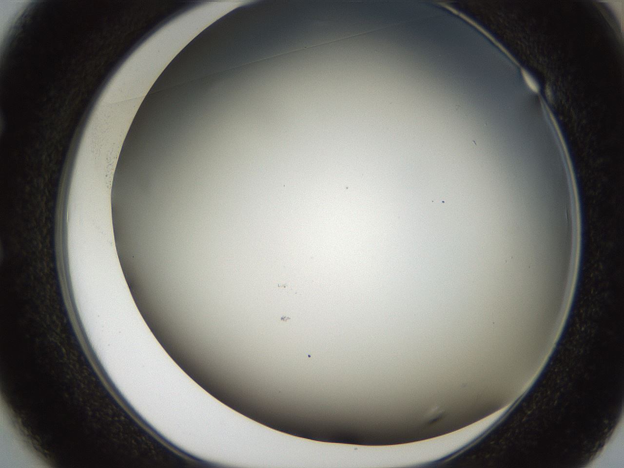 folderID307_plateID2307_batchID10874_wellNum49_profileID1_d1_r162823_ef.jpg