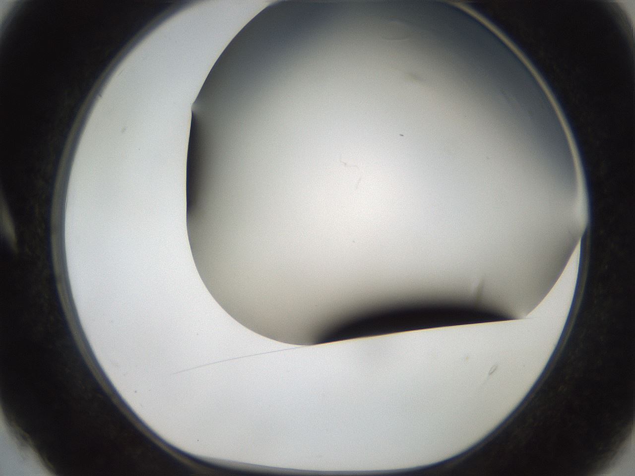 folderID307_plateID2307_batchID10874_wellNum4_profileID1_d1_r162778_ef.jpg