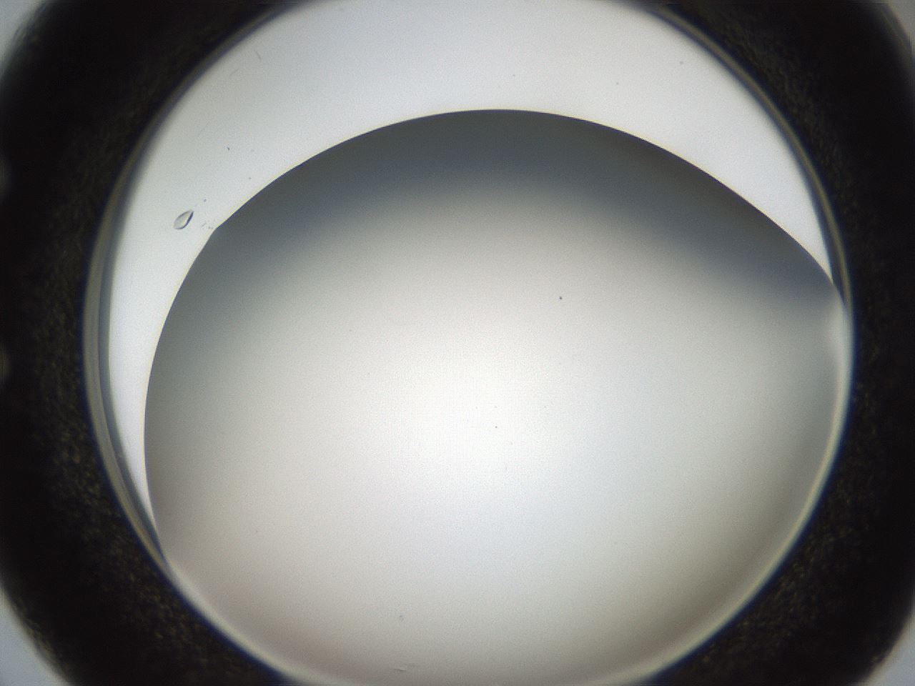 folderID307_plateID2307_batchID10874_wellNum50_profileID1_d1_r162824_ef.jpg