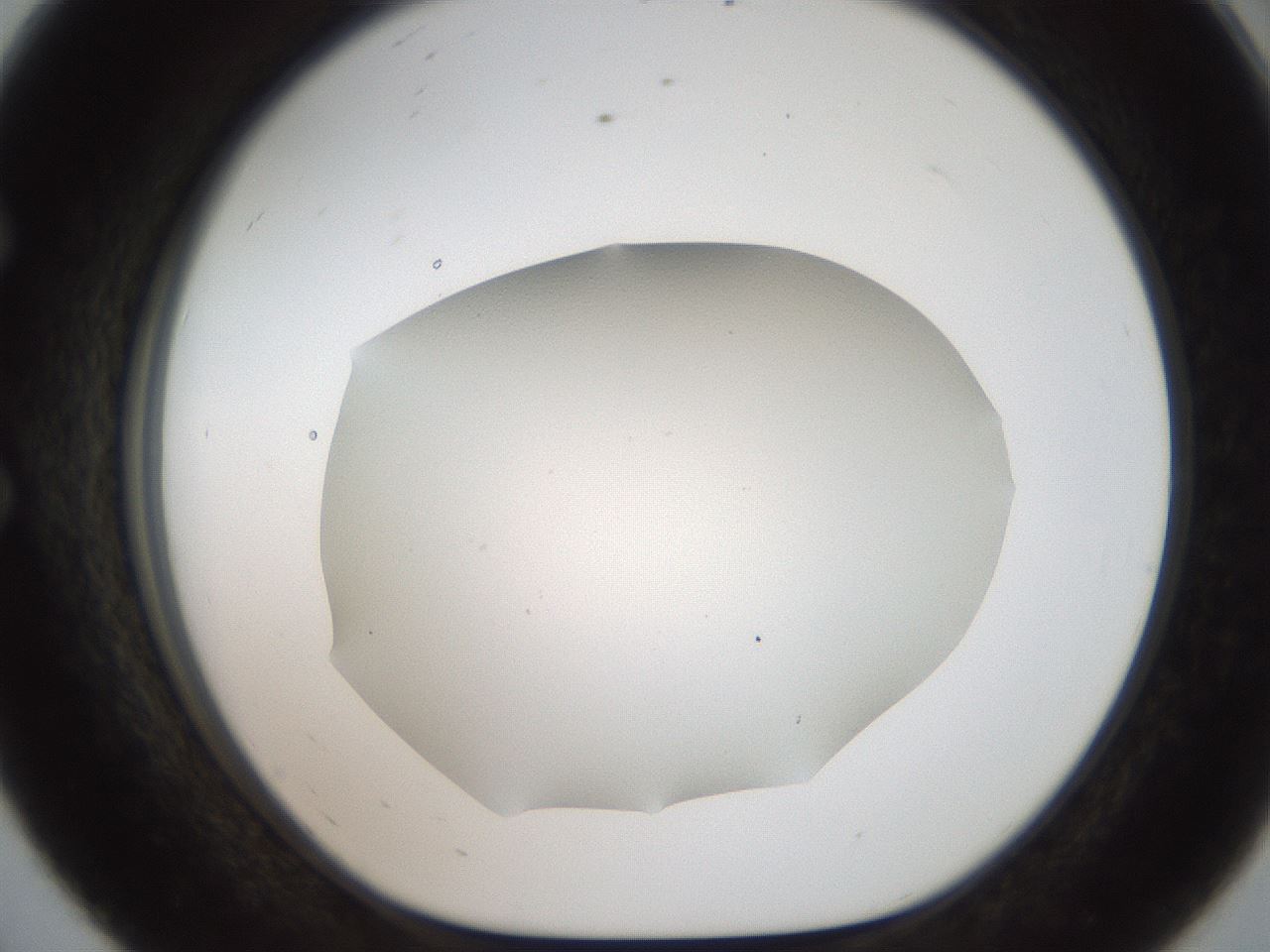 folderID307_plateID2307_batchID10874_wellNum56_profileID1_d1_r162830_ef.jpg