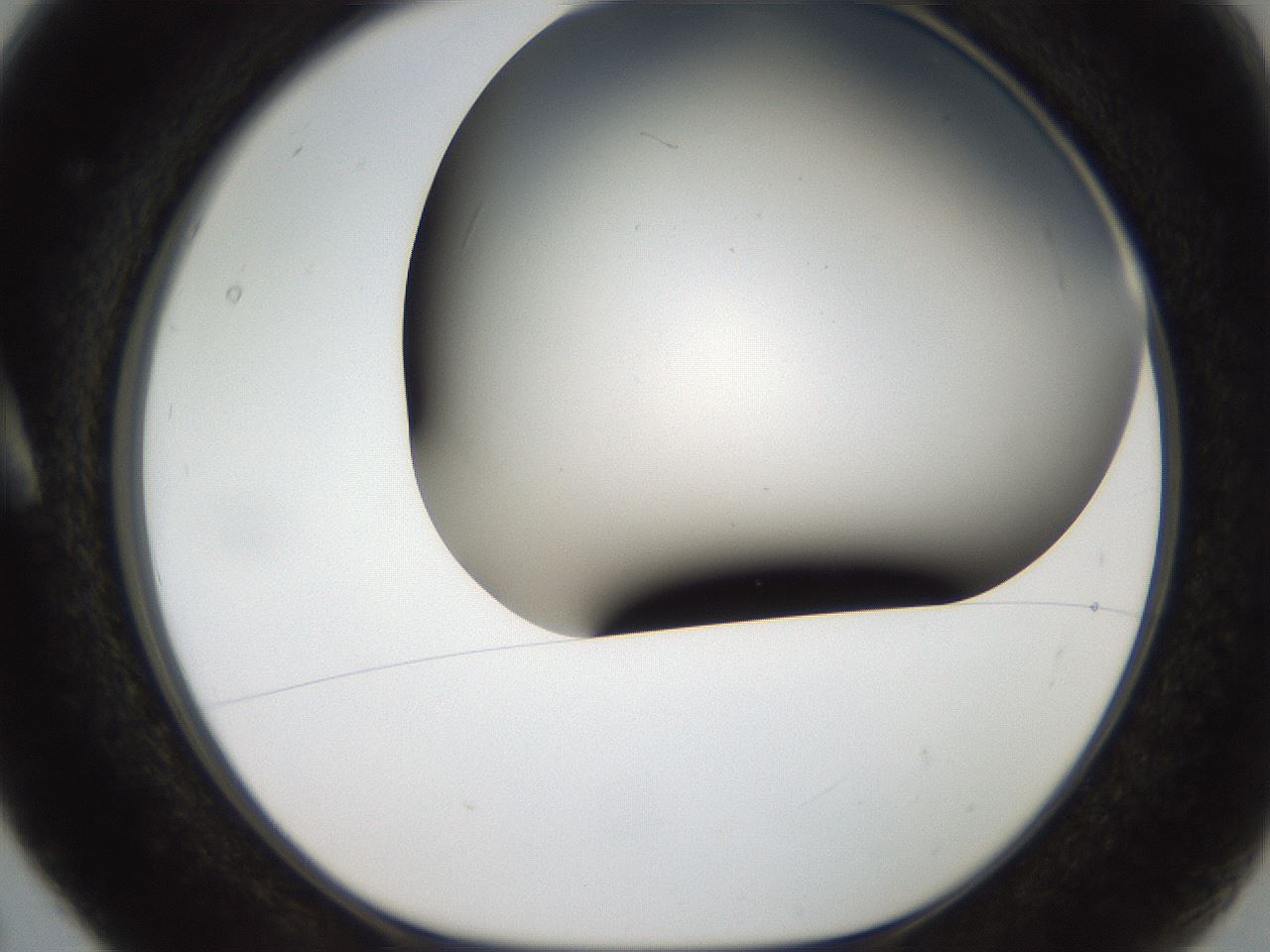 folderID307_plateID2307_batchID10874_wellNum5_profileID1_d1_r162779_ef.jpg