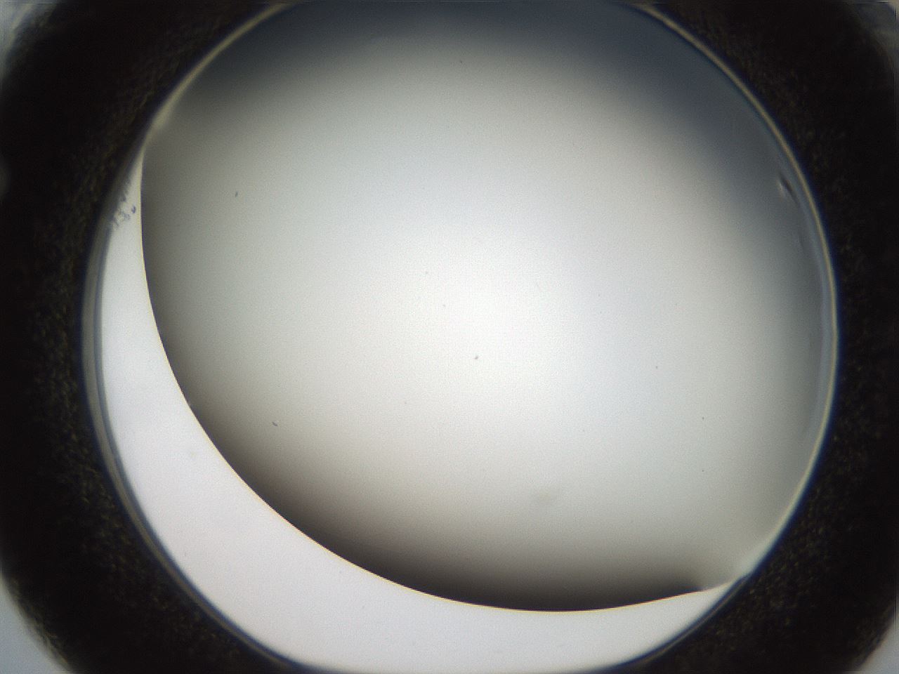 folderID307_plateID2307_batchID10874_wellNum61_profileID1_d1_r162835_ef.jpg