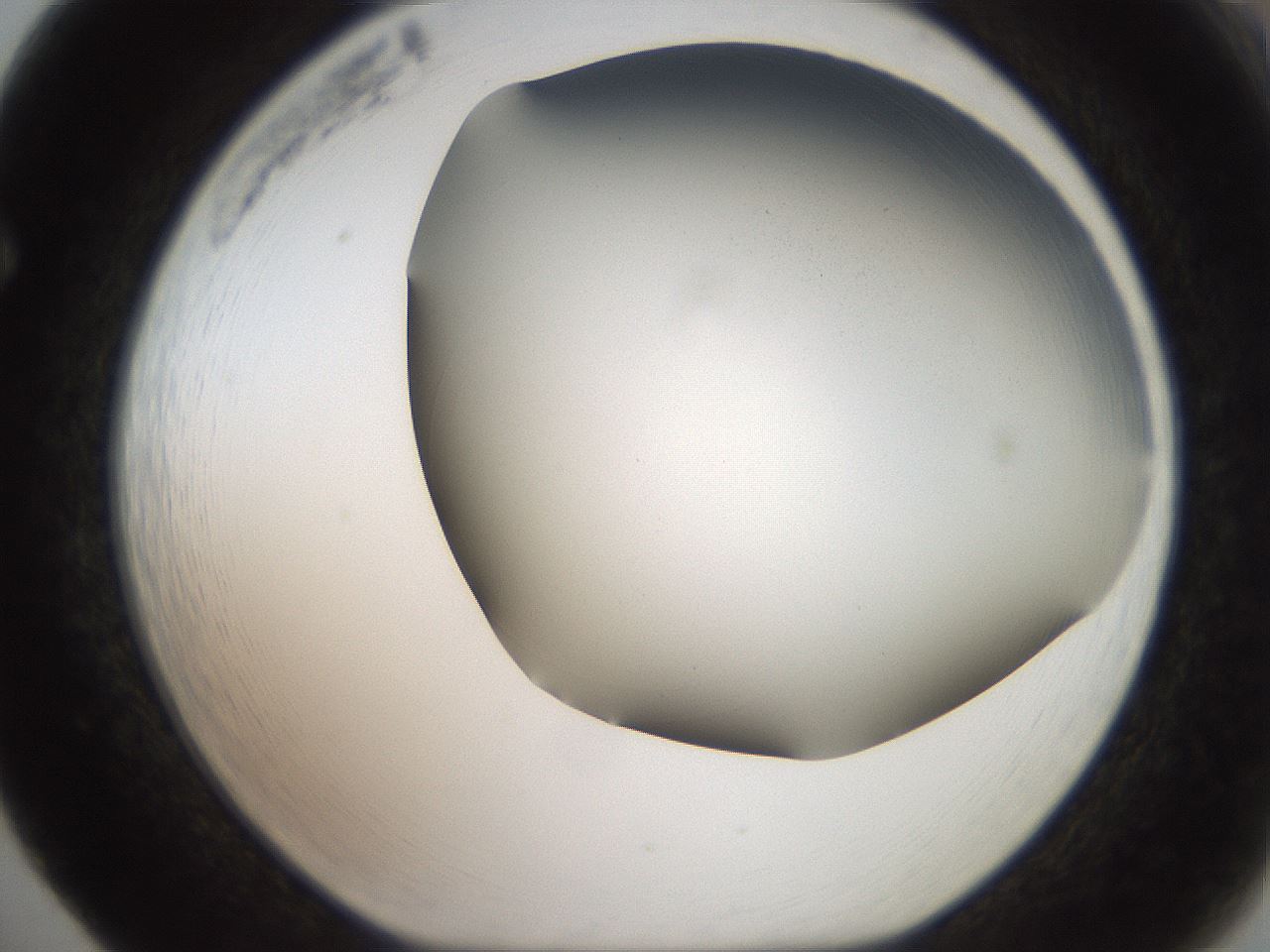 folderID307_plateID2307_batchID10874_wellNum65_profileID1_d1_r162839_ef.jpg