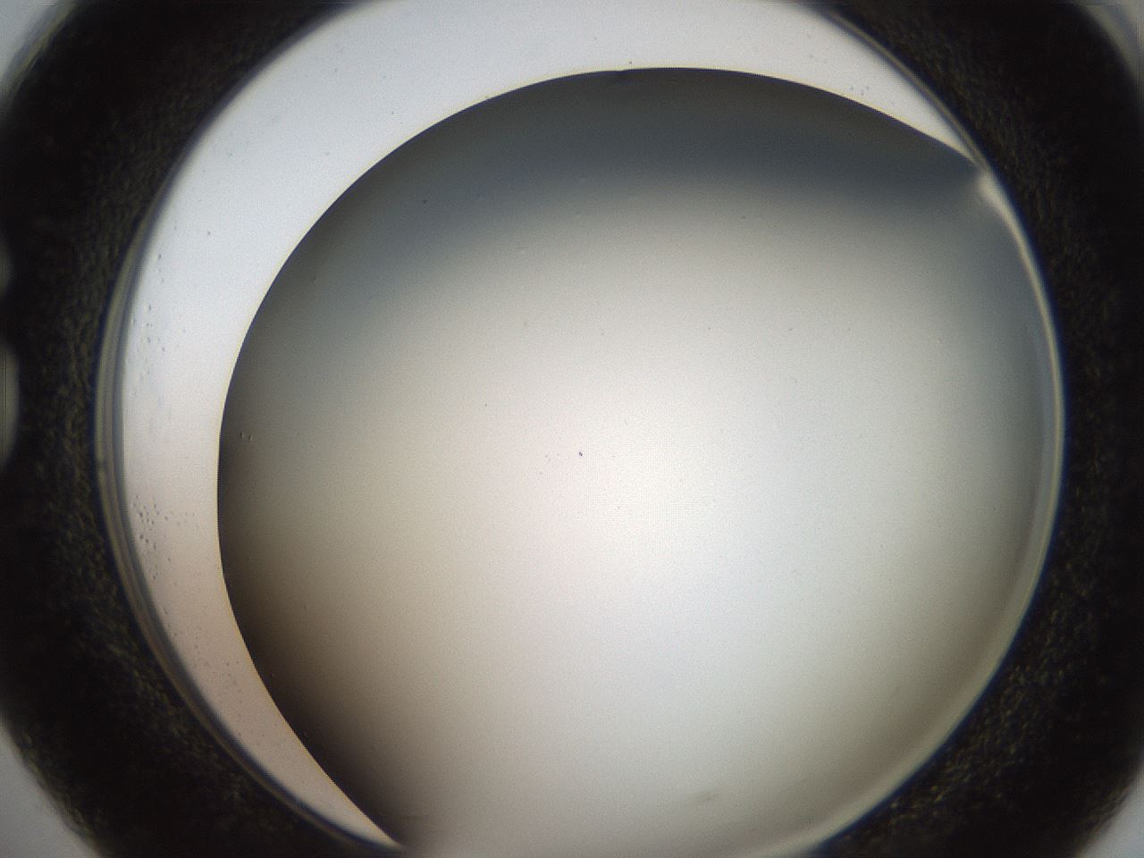 folderID307_plateID2307_batchID10874_wellNum73_profileID1_d1_r162847_ef.jpg