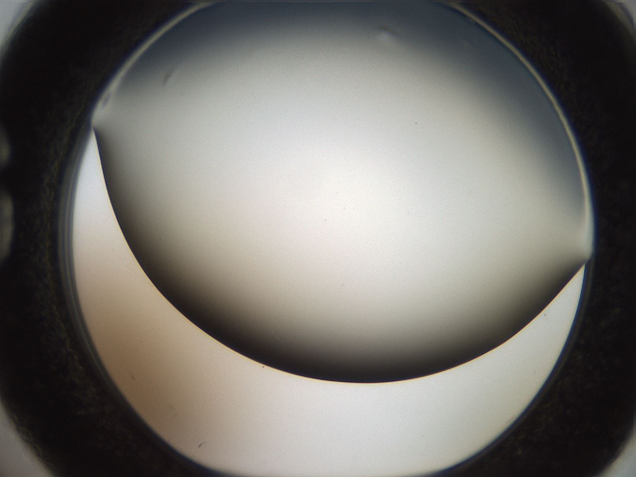 folderID307_plateID2307_batchID10874_wellNum74_profileID1_d1_r162848_ef.jpg