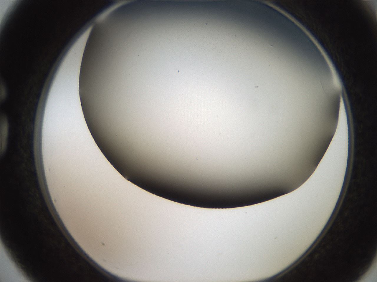 folderID307_plateID2307_batchID10874_wellNum75_profileID1_d1_r162849_ef.jpg
