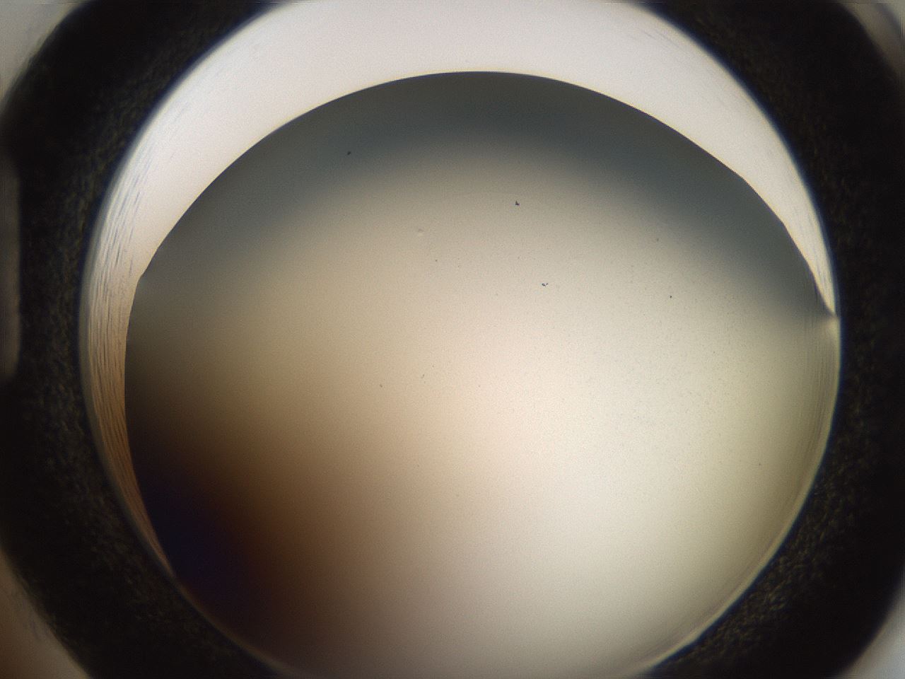 folderID307_plateID2307_batchID10874_wellNum85_profileID1_d1_r162859_ef.jpg