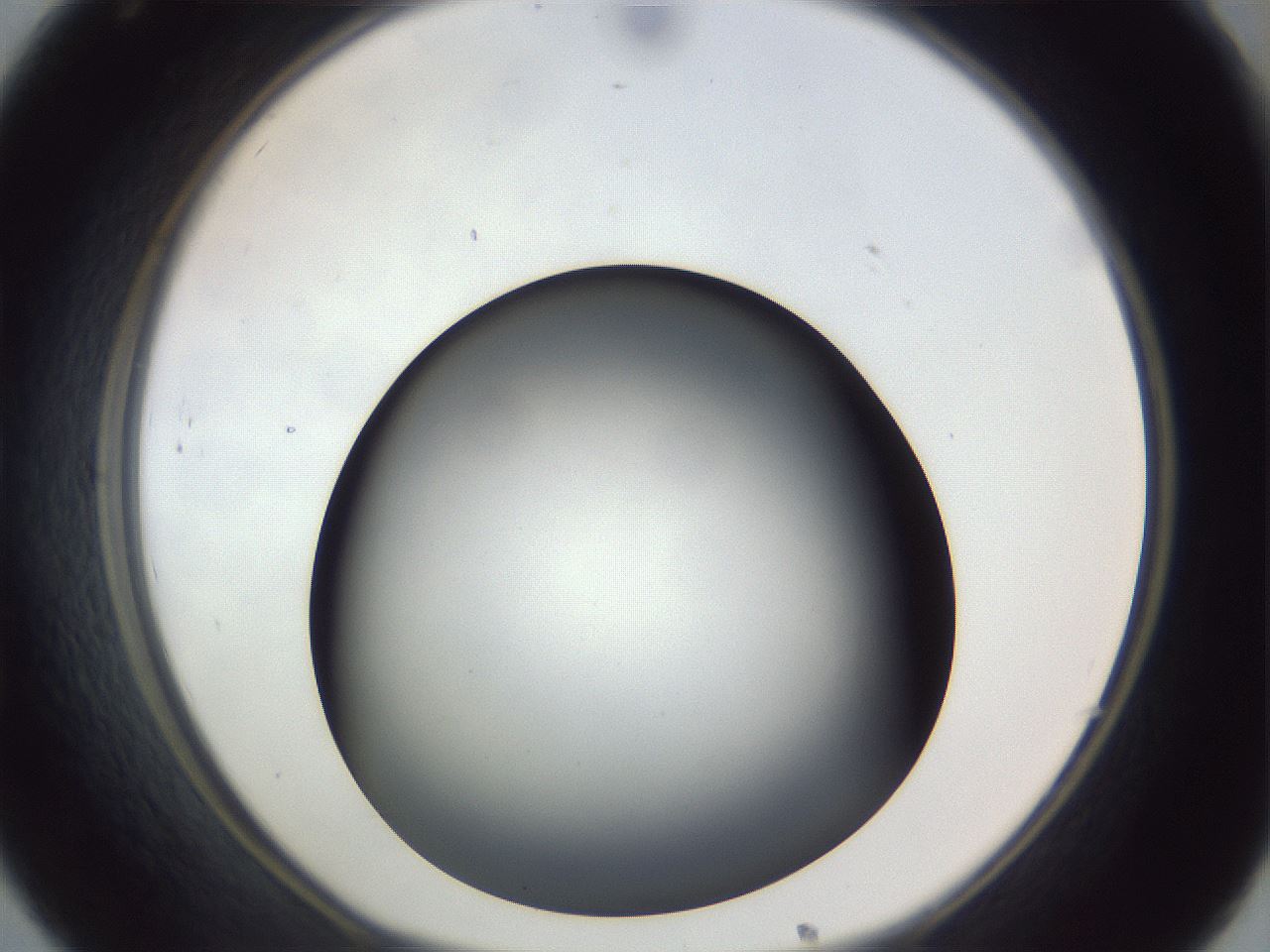 folderID308_plateID1308_batchID4271_wellNum32_profileID1_d1_r78903_ef.jpg