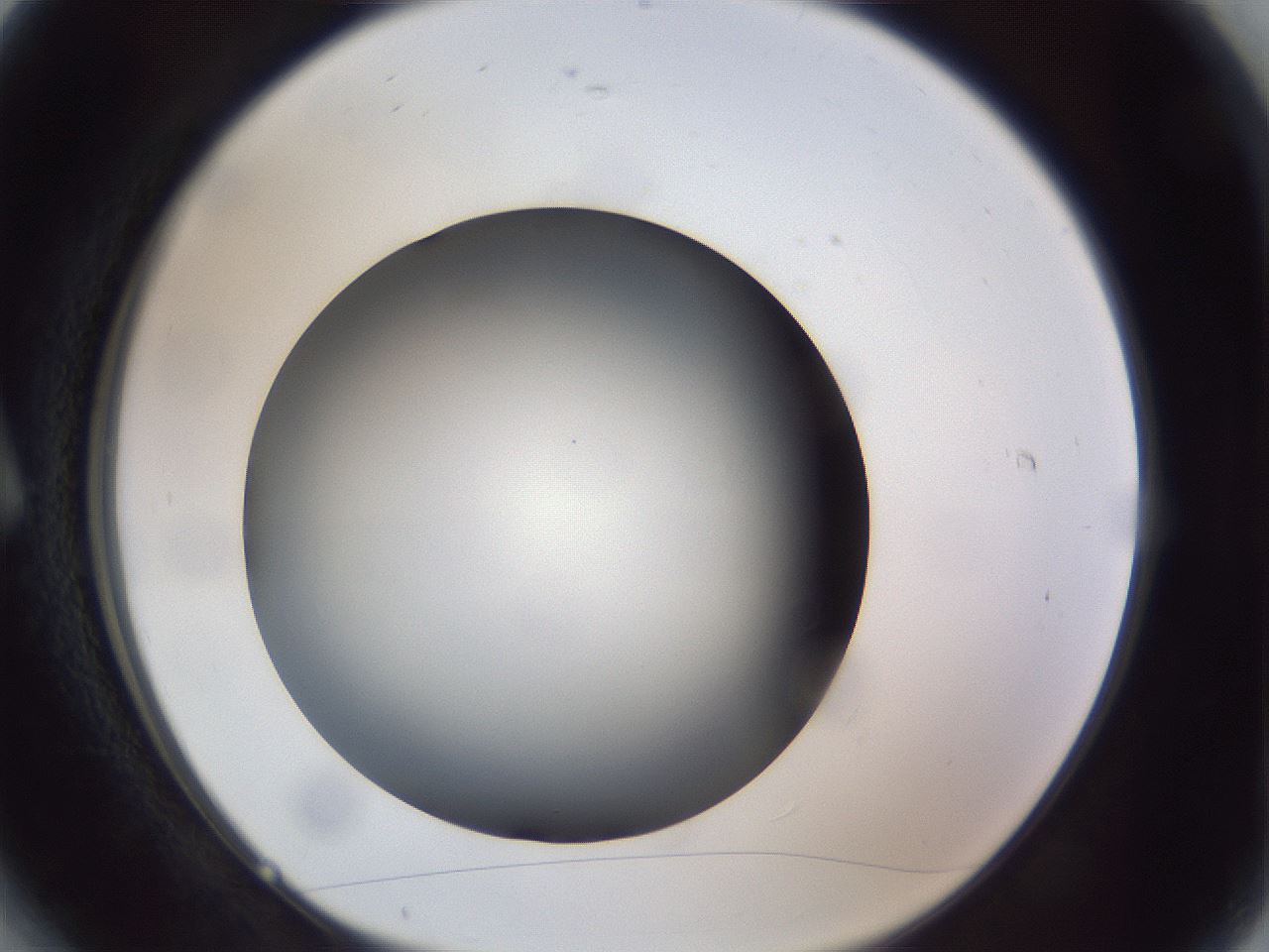 folderID308_plateID1308_batchID4271_wellNum6_profileID1_d1_r78877_ef.jpg