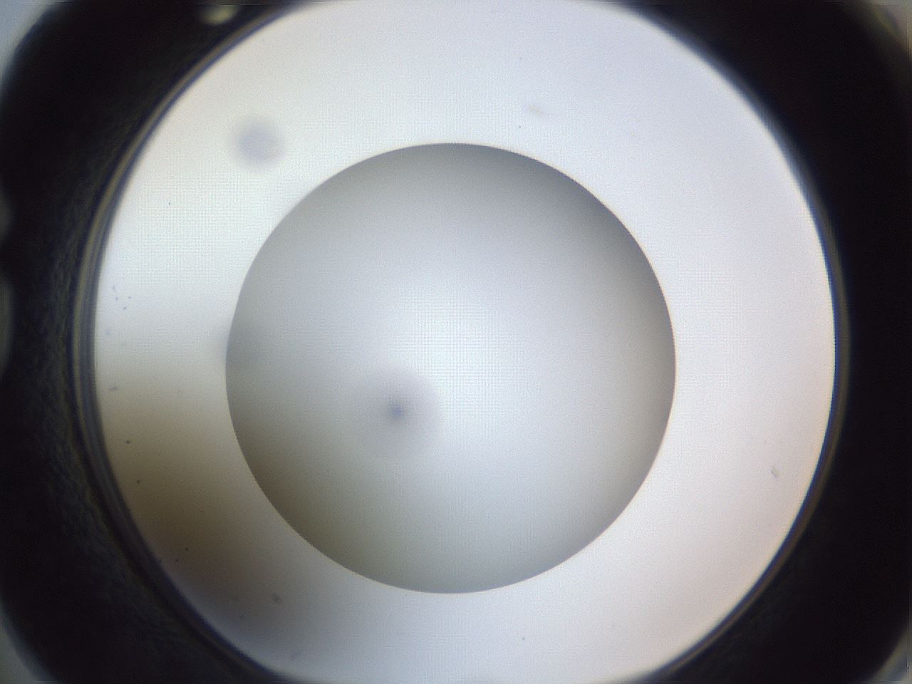 folderID308_plateID1308_batchID4271_wellNum74_profileID1_d1_r78945_ef.jpg