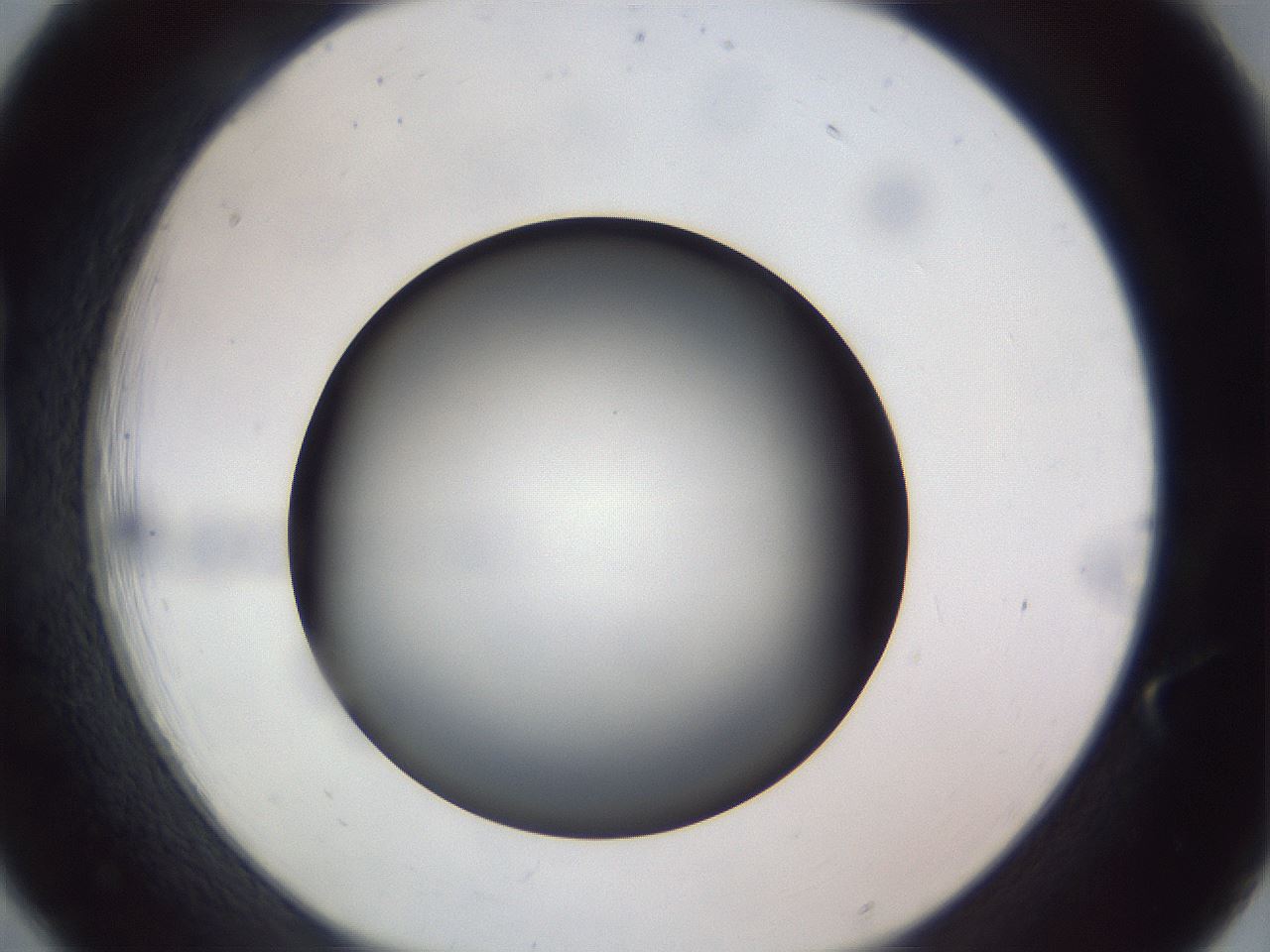 folderID308_plateID1308_batchID4308_wellNum18_profileID1_d1_r78889_ef.jpg