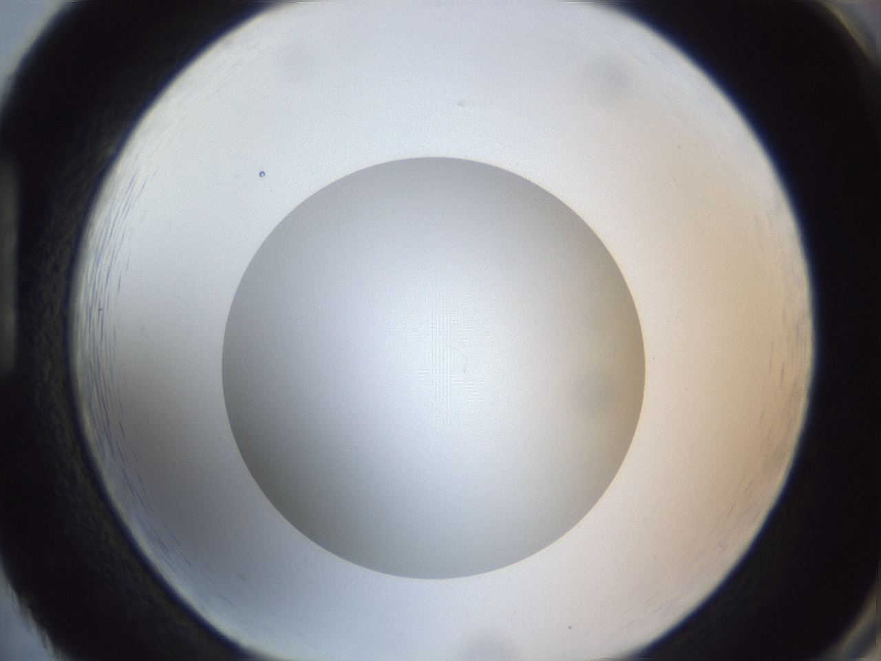 folderID308_plateID1308_batchID4308_wellNum86_profileID1_d1_r78957_ef.jpg