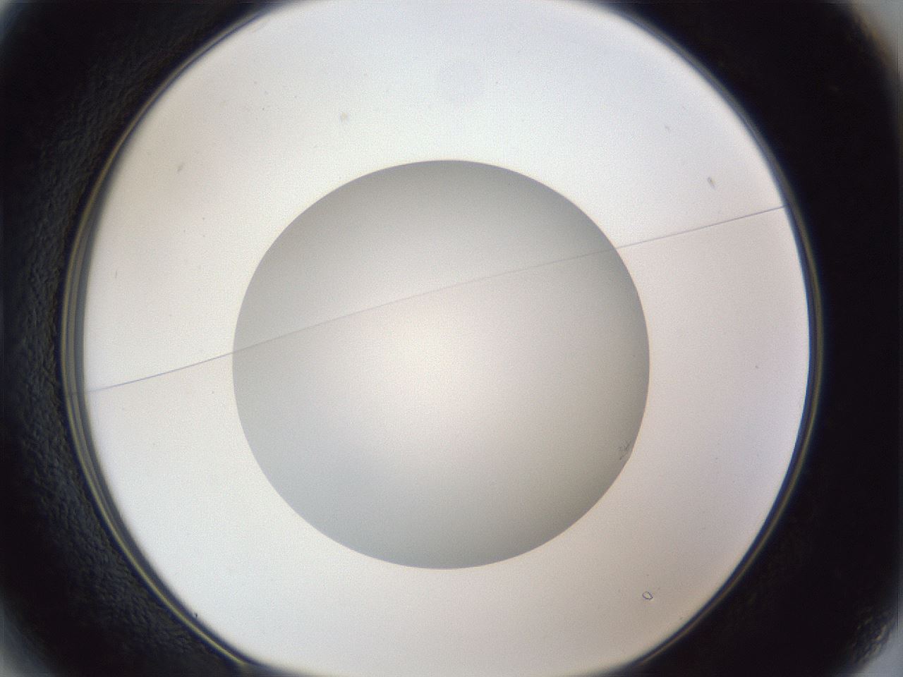 folderID30_plateID1030_batchID1981_wellNum13_profileID1_d1_r44732_ef.jpg