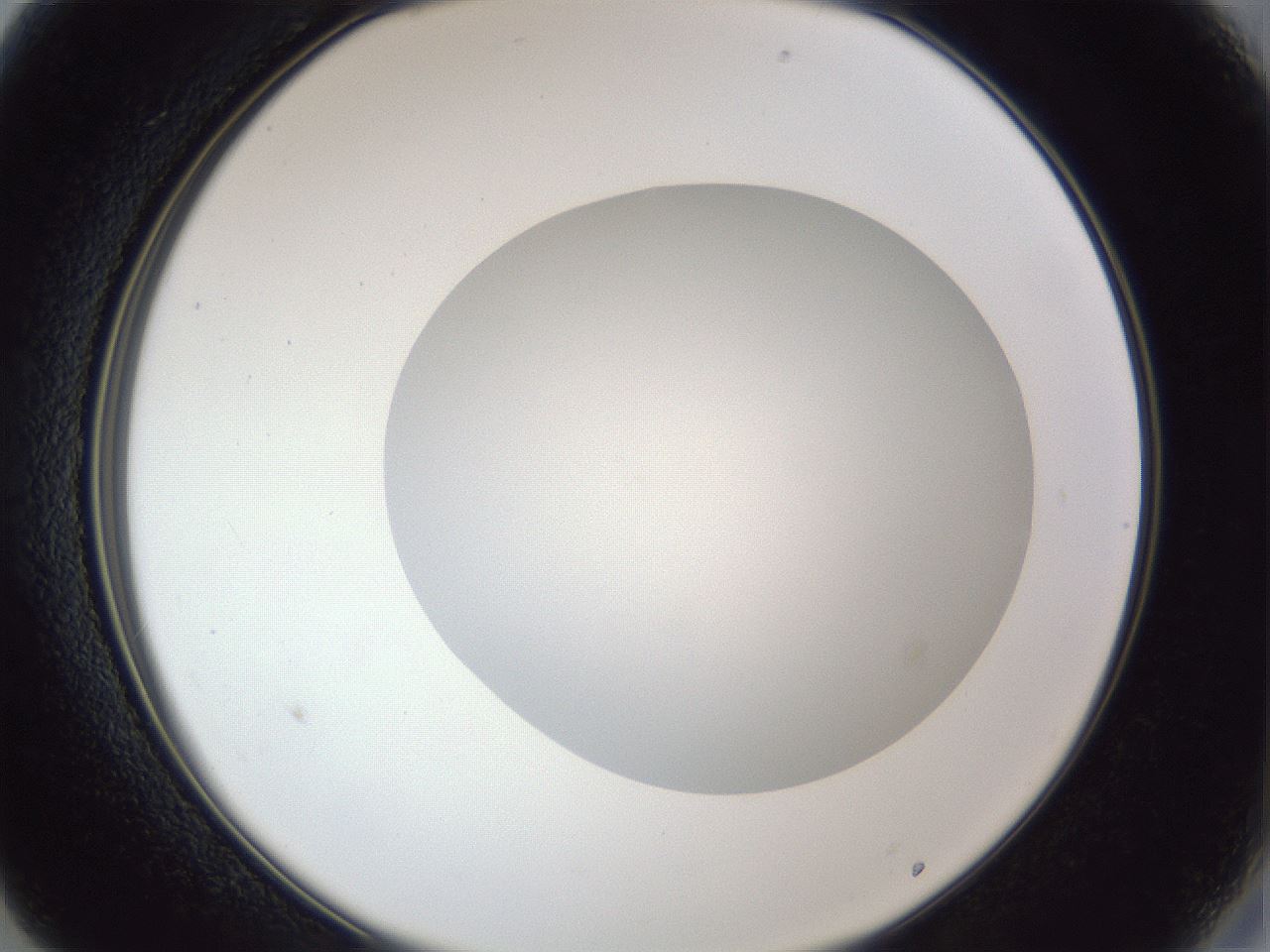folderID30_plateID1030_batchID1981_wellNum13_profileID1_d2_r44733_ef.jpg