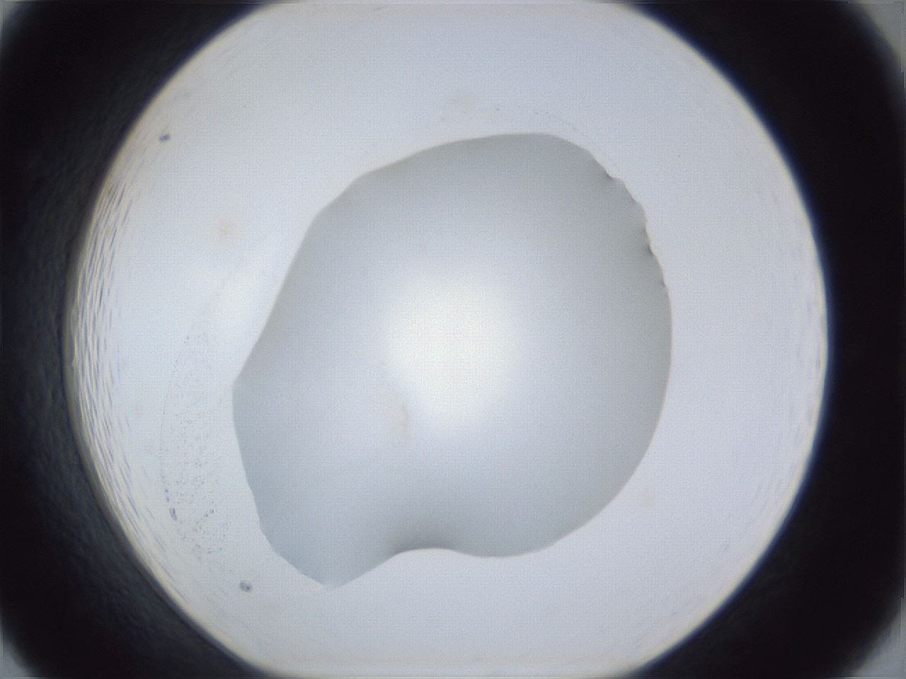 folderID30_plateID1030_batchID1981_wellNum19_profileID1_d1_r44744_ef.jpg