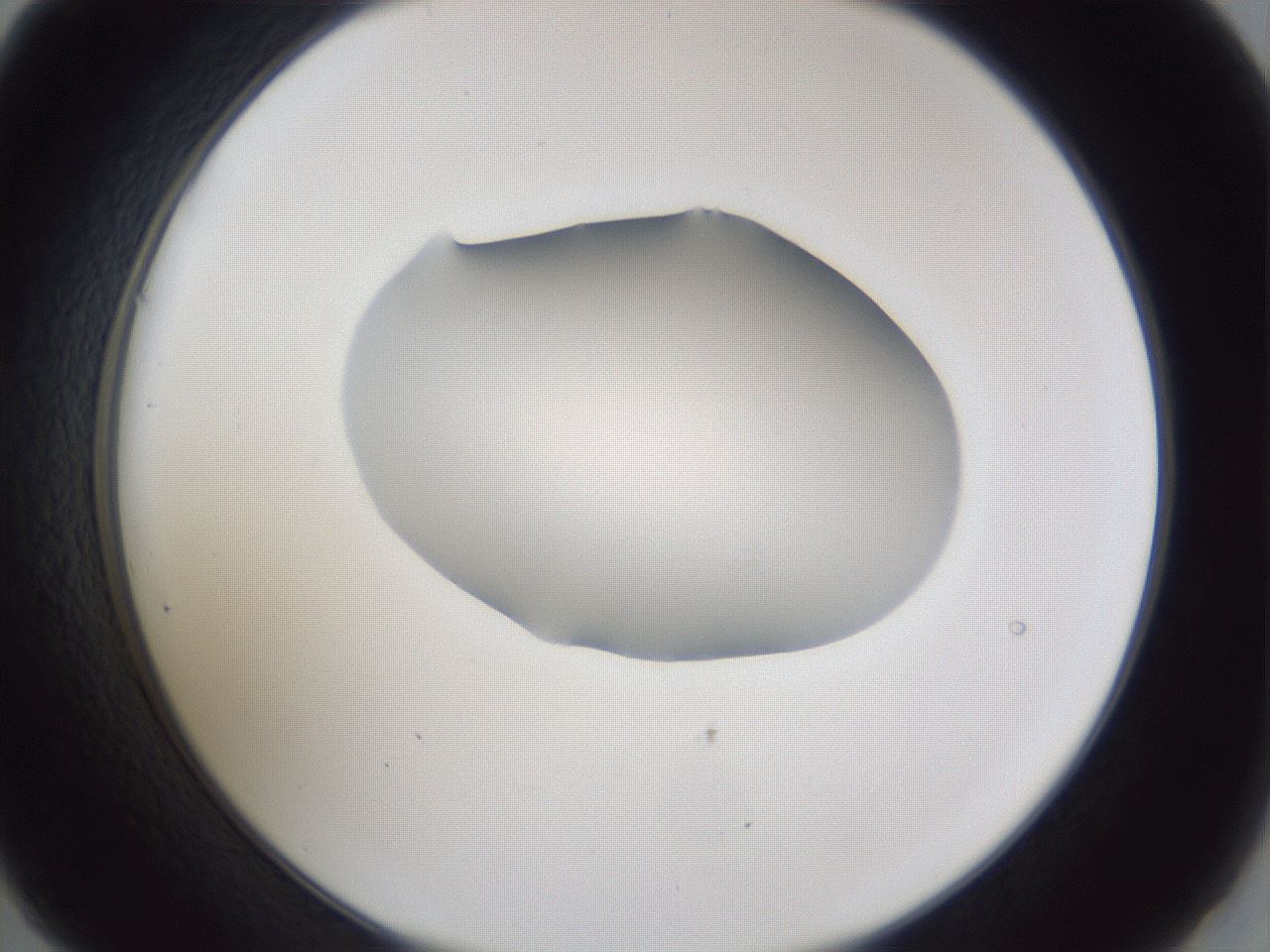 folderID30_plateID1030_batchID1981_wellNum21_profileID1_d2_r44749_ef.jpg