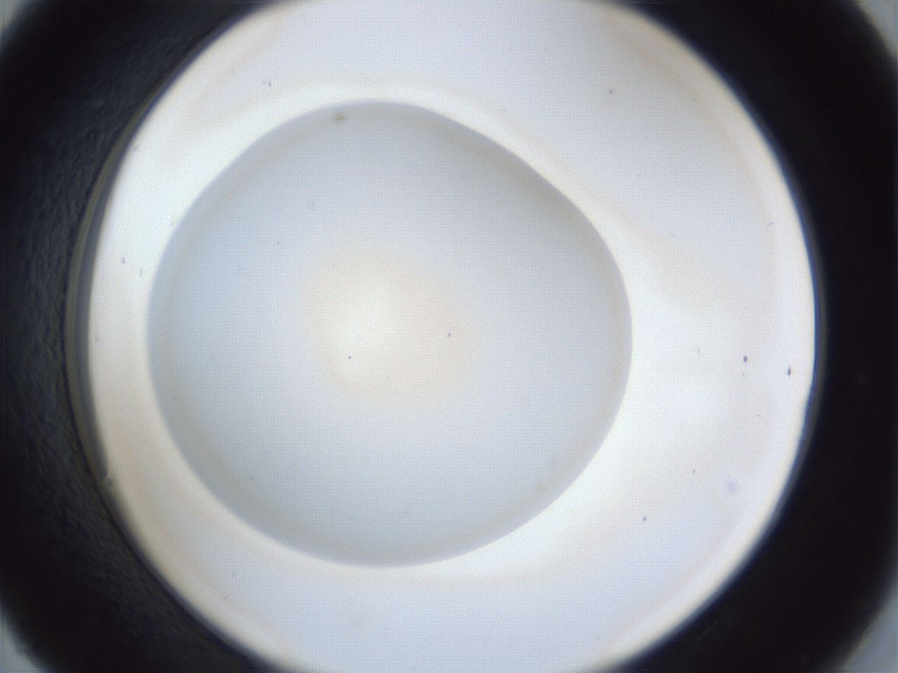 folderID30_plateID1030_batchID1981_wellNum30_profileID1_d2_r44767_ef.jpg
