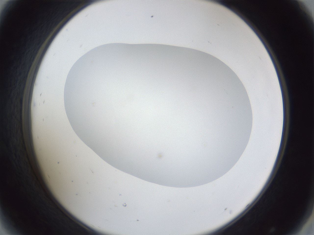folderID30_plateID1030_batchID1981_wellNum44_profileID1_d2_r44795_ef.jpg