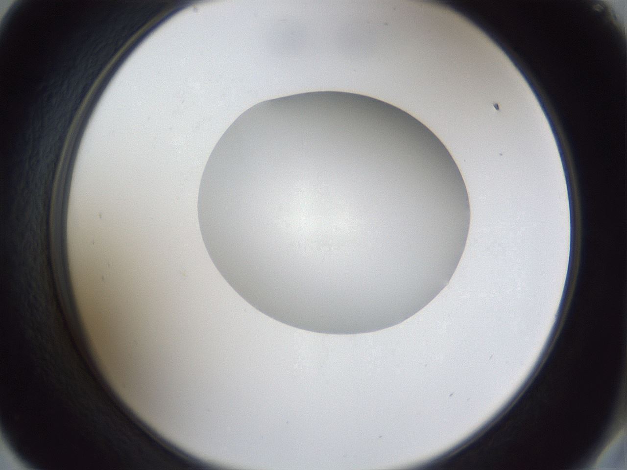 folderID30_plateID1030_batchID1981_wellNum57_profileID1_d2_r44821_ef.jpg