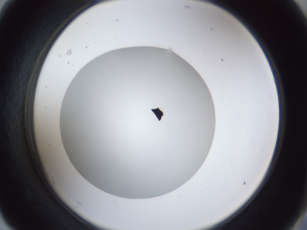 folderID30_plateID1030_batchID1981_wellNum67_profileID1_d2_r44841_ef.jpg