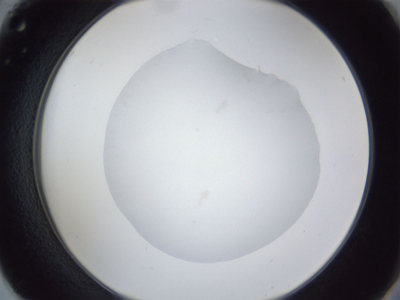folderID30_plateID1030_batchID1981_wellNum50_profileID1_d2_r44807_ef.jpg