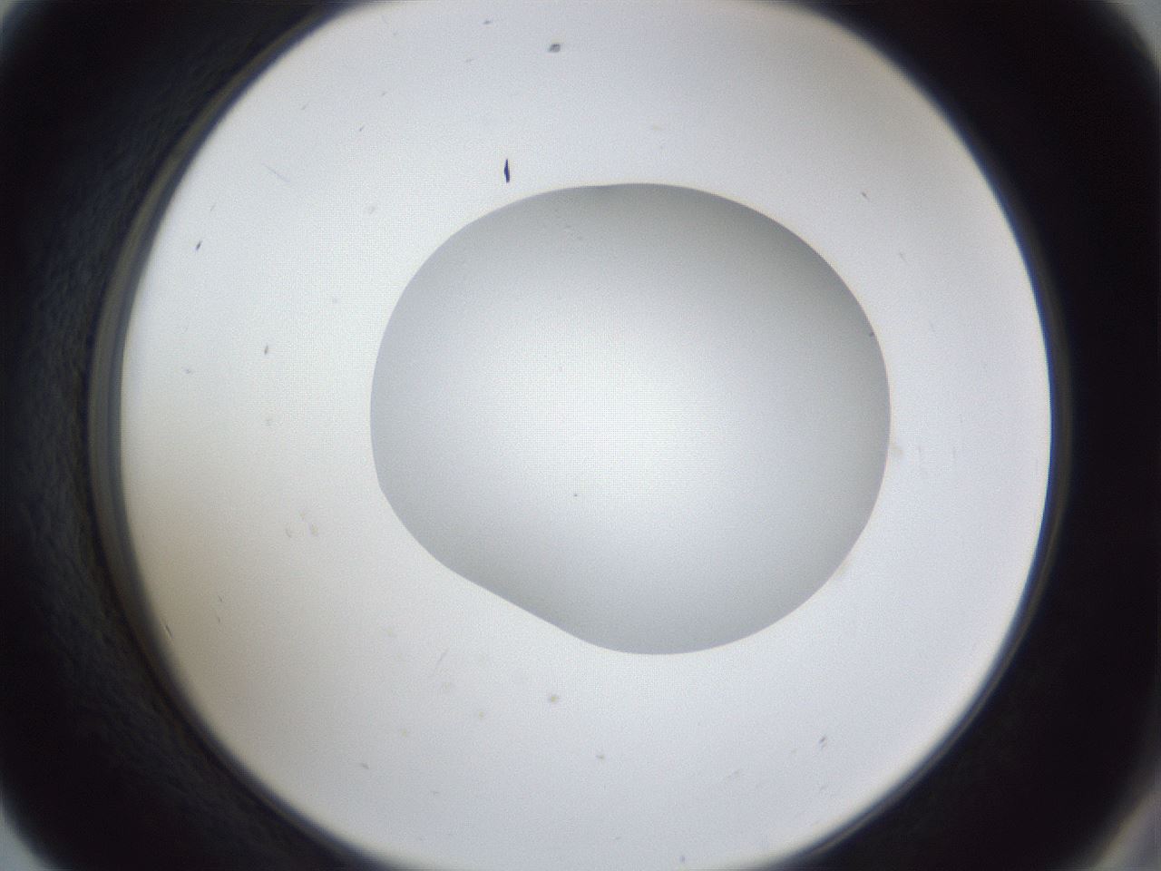 folderID30_plateID1030_batchID1981_wellNum56_profileID1_d2_r44819_ef.jpg