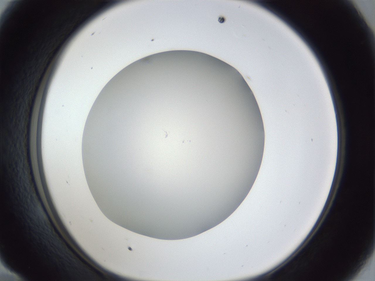 folderID30_plateID1030_batchID1981_wellNum58_profileID1_d1_r44822_ef.jpg