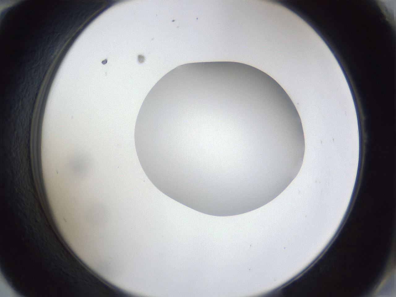 folderID30_plateID1030_batchID1981_wellNum58_profileID1_d2_r44823_ef.jpg