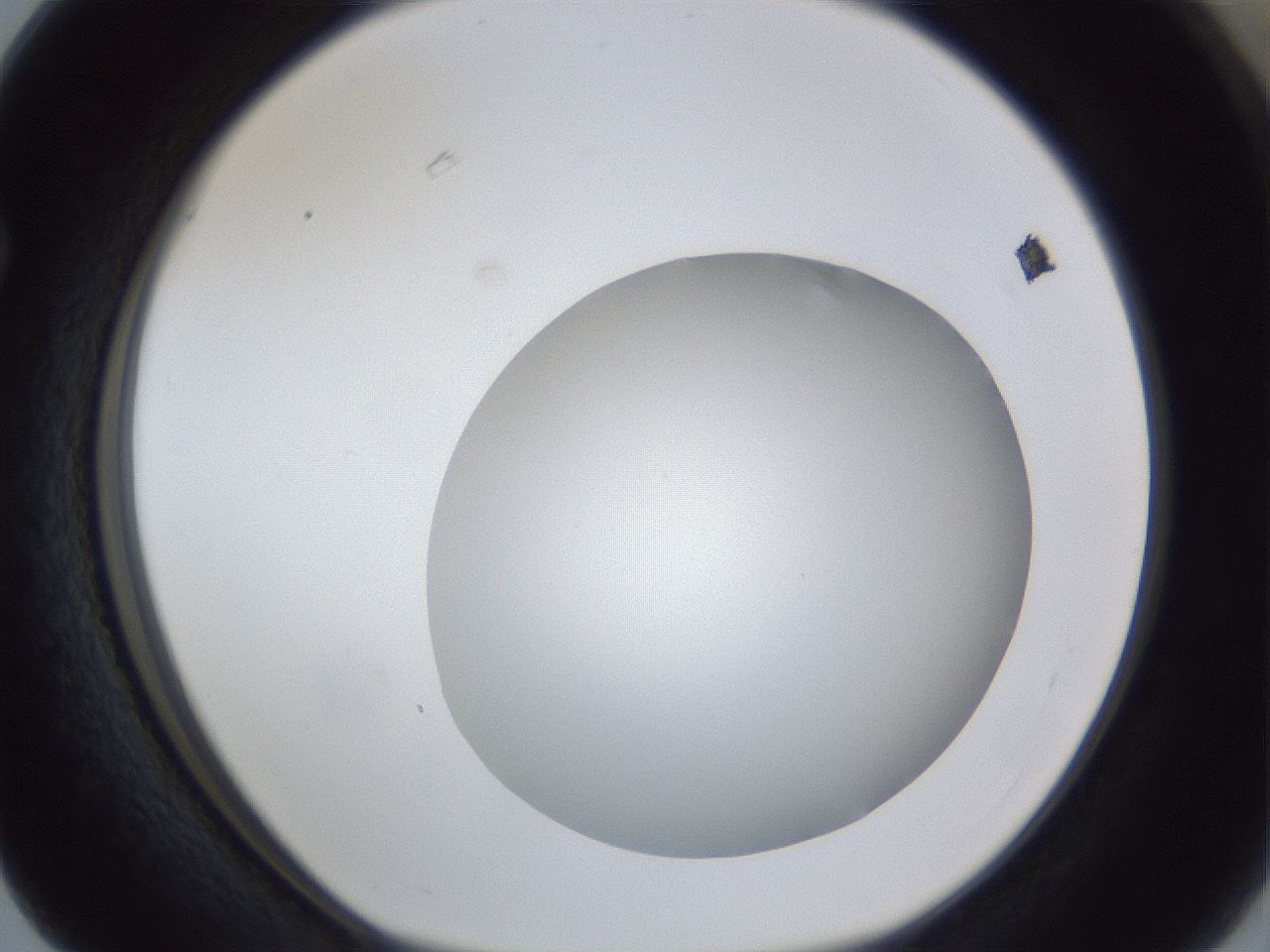 folderID30_plateID1030_batchID1981_wellNum63_profileID1_d1_r44832_ef.jpg