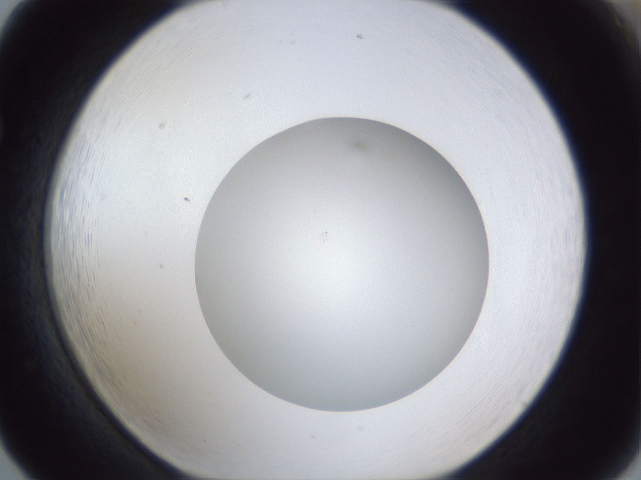 folderID30_plateID1030_batchID1981_wellNum65_profileID1_d1_r44836_ef.jpg