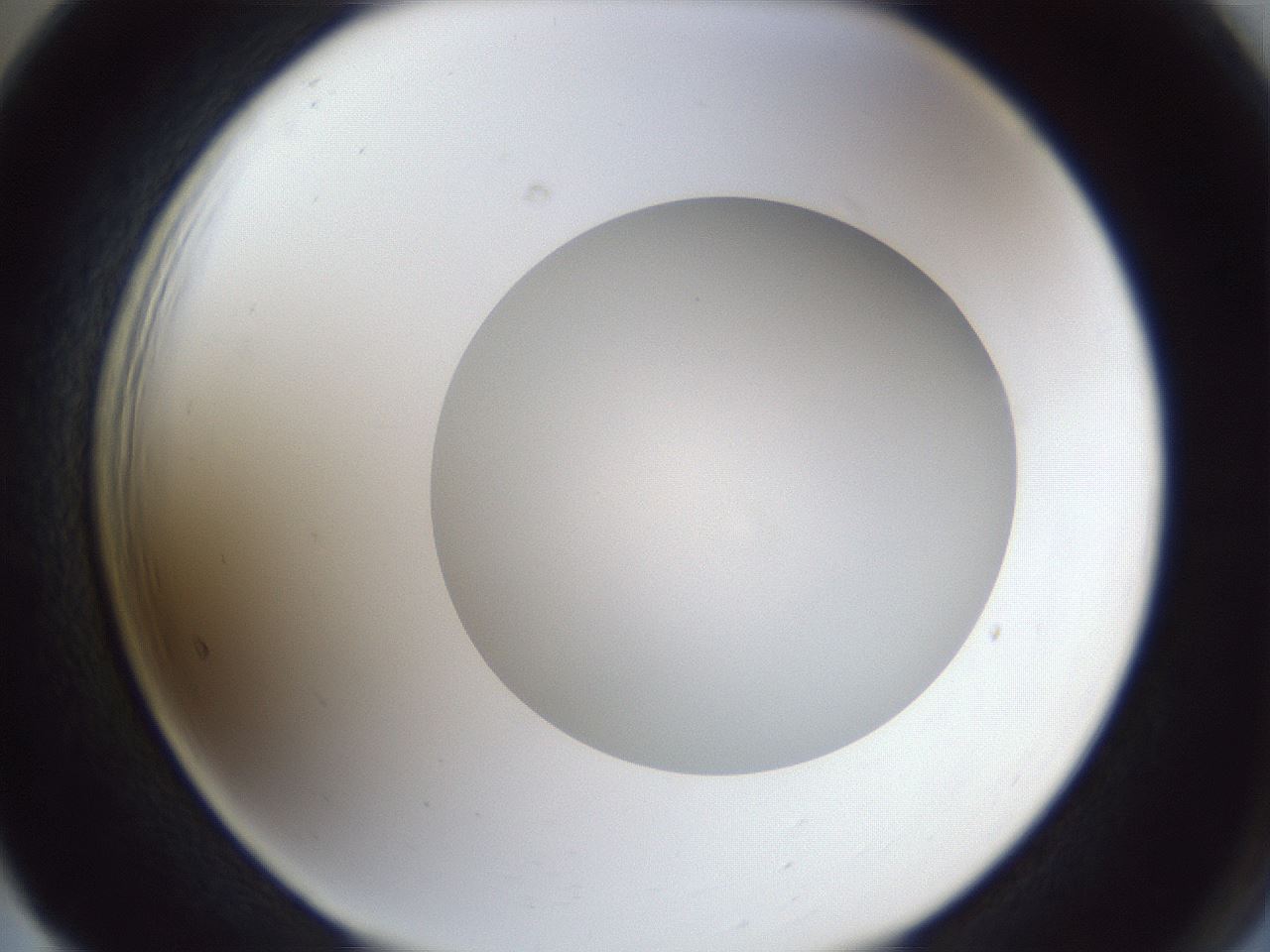 folderID30_plateID1030_batchID1981_wellNum65_profileID1_d2_r44837_ef.jpg