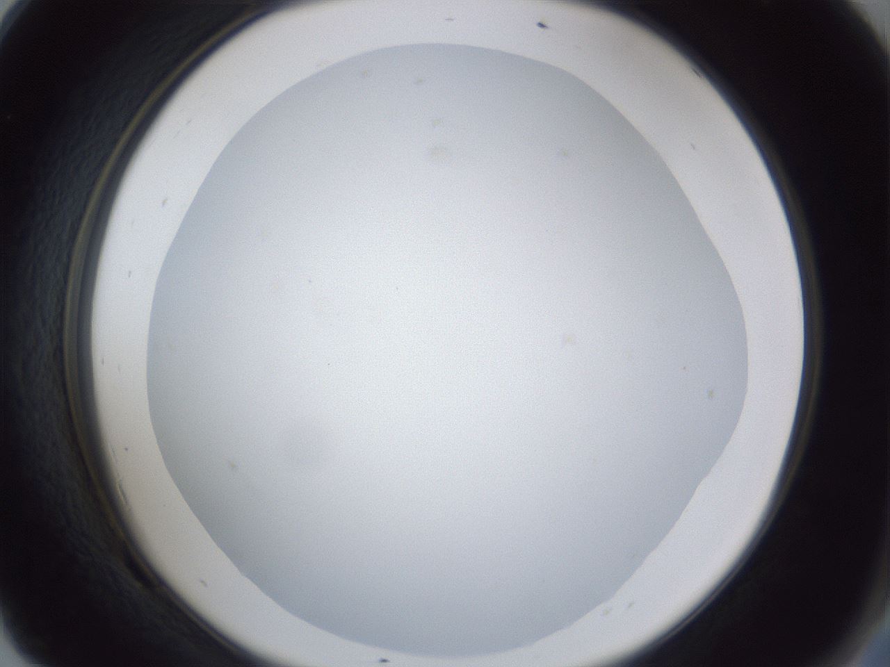 folderID30_plateID1030_batchID1981_wellNum69_profileID1_d2_r44845_ef.jpg