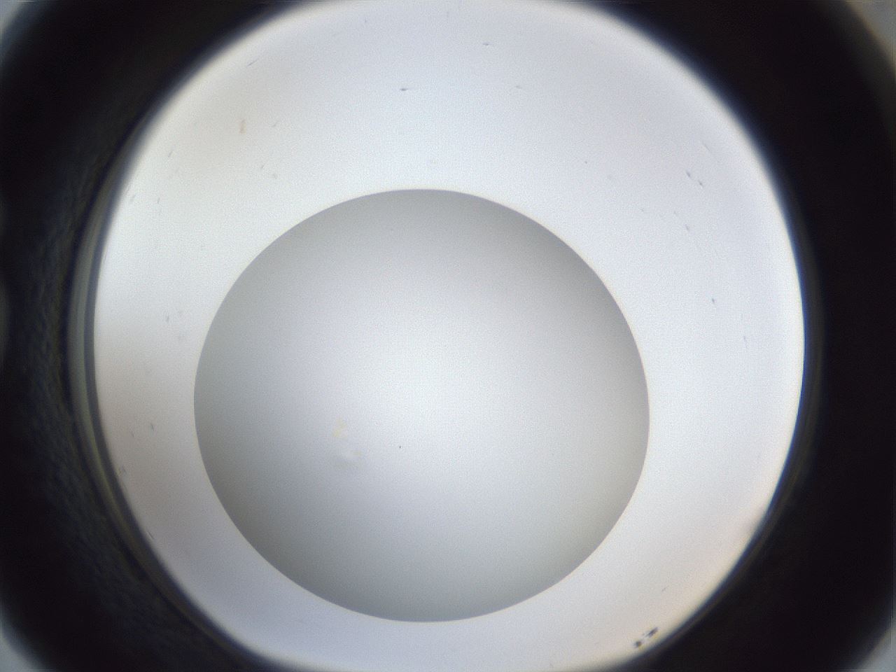 folderID30_plateID1030_batchID1981_wellNum77_profileID1_d1_r44860_ef.jpg