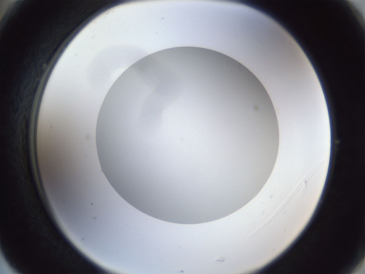 folderID30_plateID1030_batchID1981_wellNum77_profileID1_d2_r44861_ef.jpg