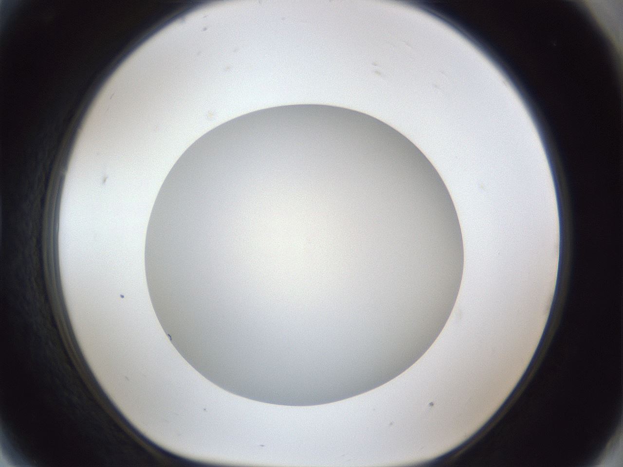 folderID30_plateID1030_batchID1981_wellNum81_profileID1_d1_r44868_ef.jpg