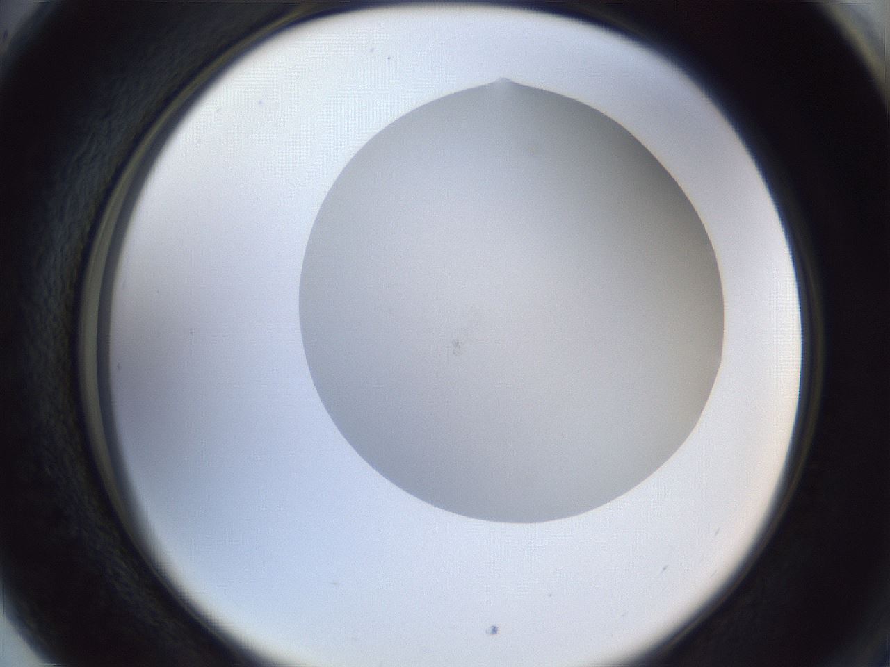 folderID30_plateID1030_batchID1981_wellNum89_profileID1_d2_r44885_ef.jpg