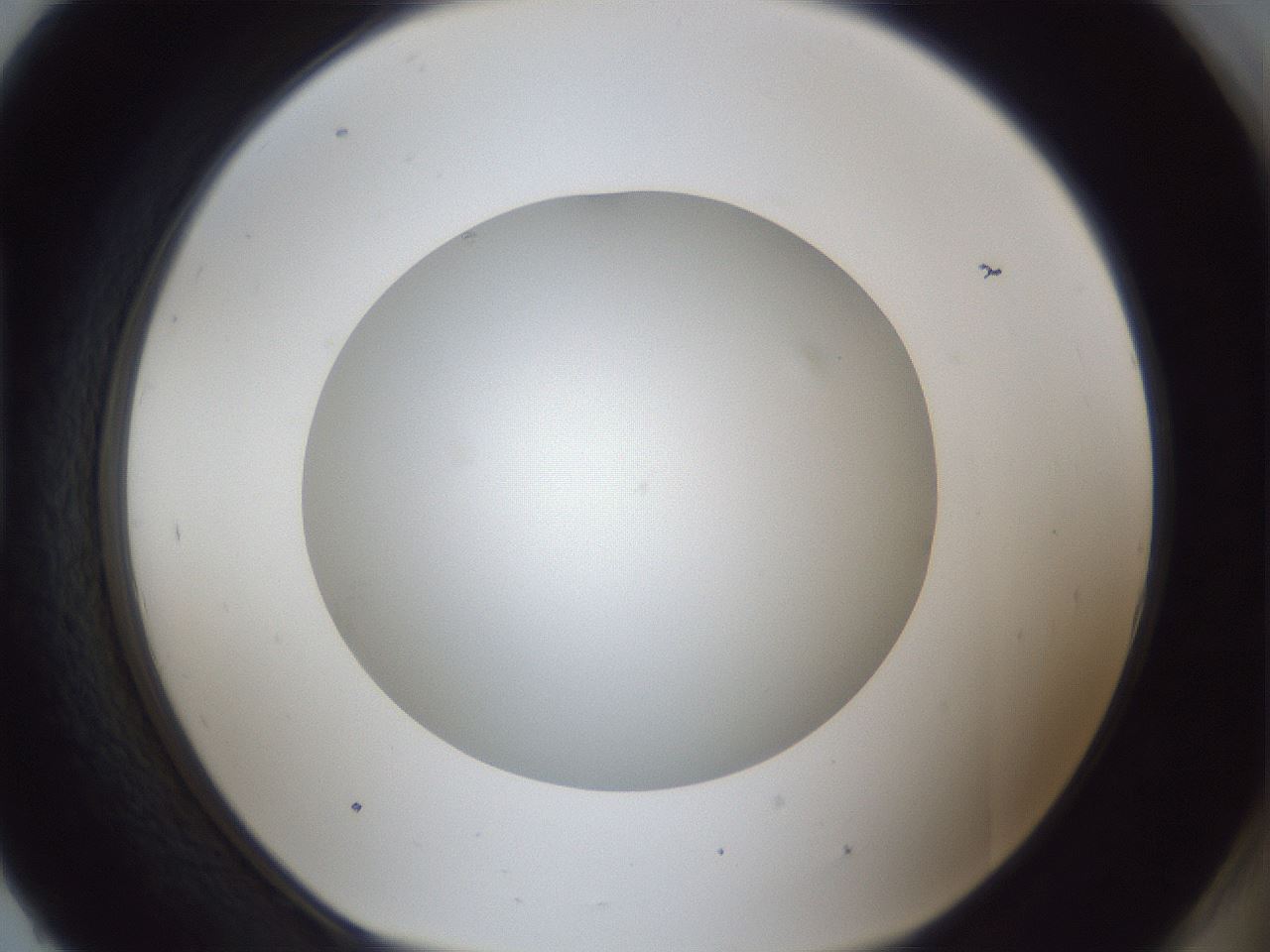 folderID30_plateID1030_batchID1981_wellNum93_profileID1_d1_r44892_ef.jpg